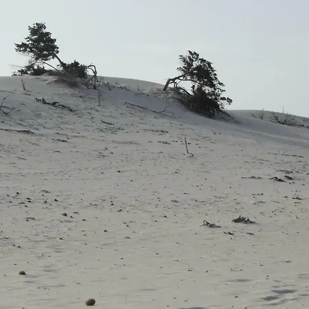 Casa Vacanze Piscinas