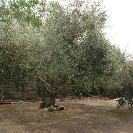 Casa Vacanze Piscinas بيت للعطل *